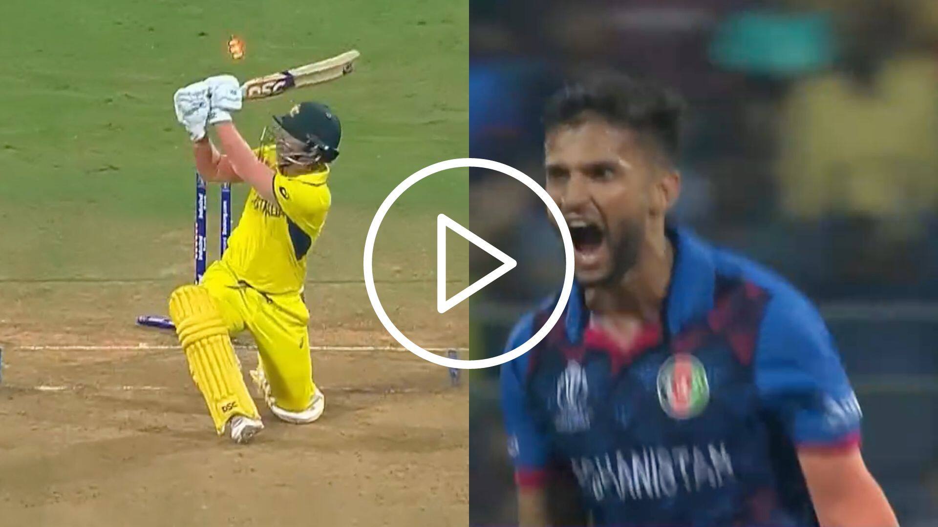 [Watch] Azmat Omarzai 'Roars' As He Cleans Up David Warner With A Peach